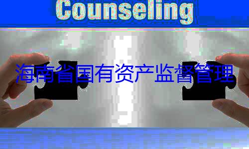 理委员会党查调查资产监督管有福接受审委副书记王海南省国有